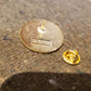 Camp Grant Lapel Pin